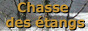 Chasse des Etangs