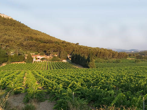 Château Barbanau