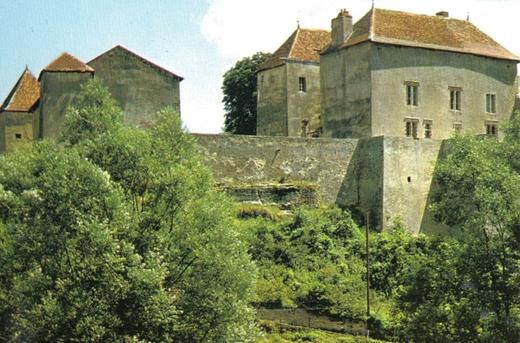 Château de Jaulny XI éme