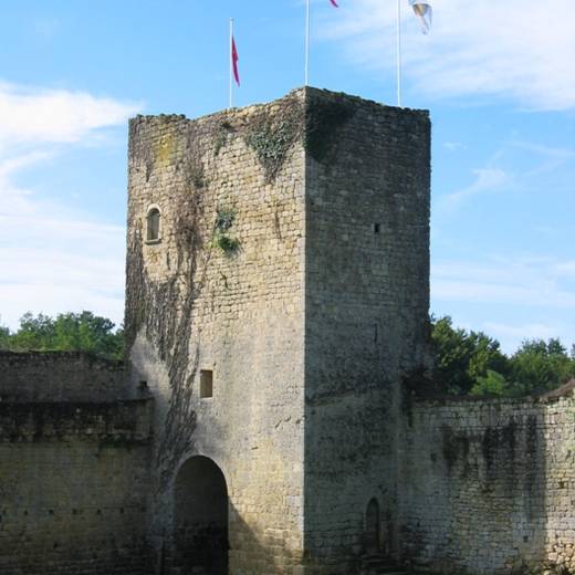 Château des Seigneurs de Pommiers