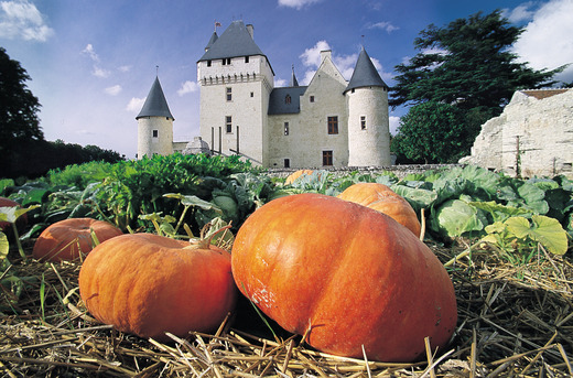 Château du Rivau et ses Jardins