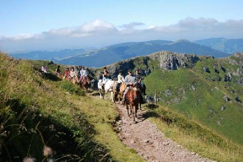 Cheval Découverte