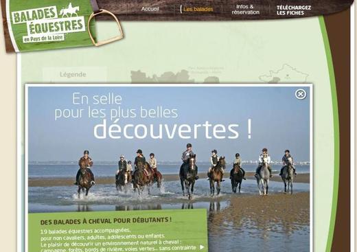 Cheval, équitation et Tourisme équestre en Pays de la Loire