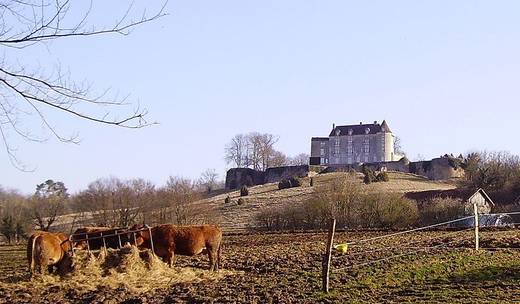 Château de Montréal