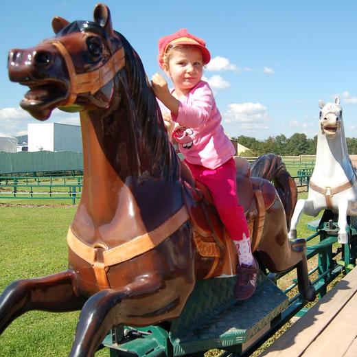 Cigoland Parc des Cigognes et Attractions
