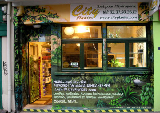 Cityplantes
