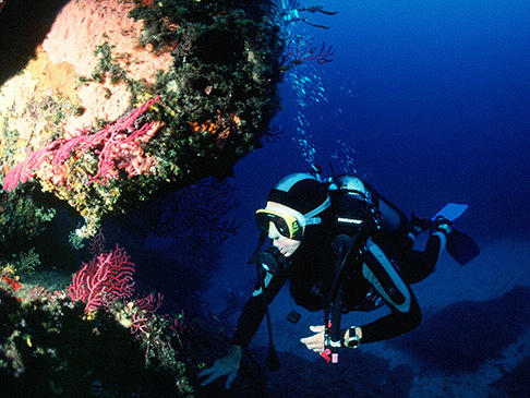 Club de Plongée Les Calanques