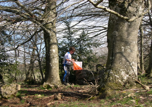 Amicale Multiloisirs Carnoulaise