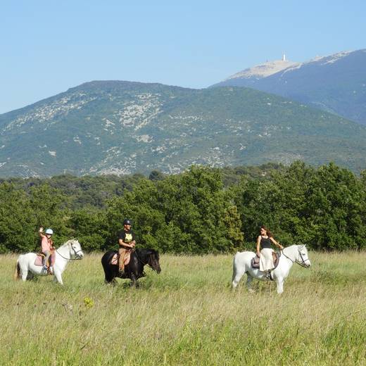 Corambé Balades à Cheval