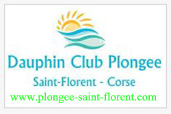 Dauphin Club - Plongee Saint Florent