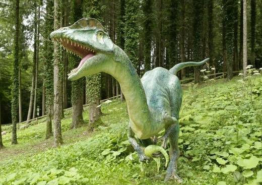 Dino-Zoo