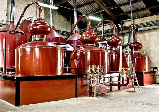 Distillerie Busnel - Maison du Pays D'Auge et des Calvados