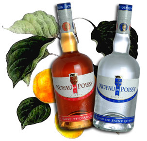 Distillerie du Noyau de Poissy