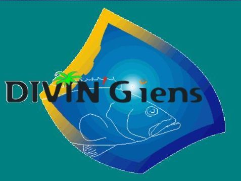 Divin'Giens