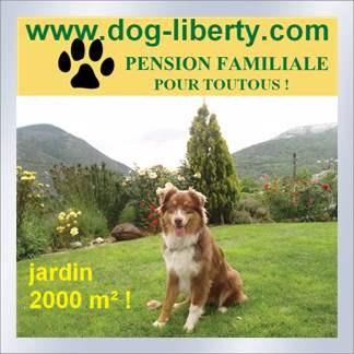 Dog Liberty