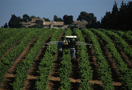 Domaine de Calet