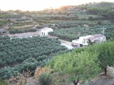 Domaine du Mas les Bories