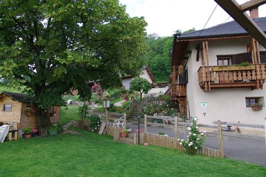 Domaine du P'Tiou Vigneron