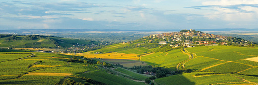 Domaine Joseph Mellot
