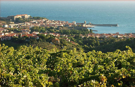 Domaine Manya Puig
