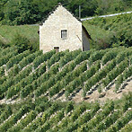 Domaine Yves Duport