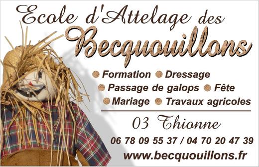 Ecole d'attelage des Becquouillons