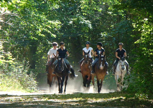 Ecole d'Equitation Ledermann