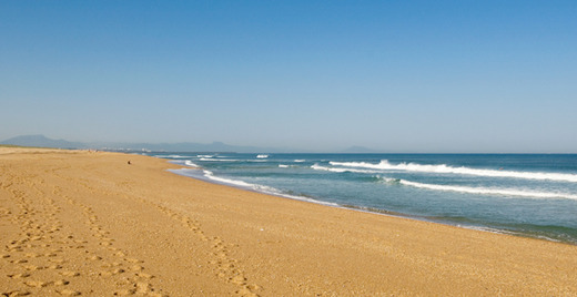 Ecole de Surf Ondres Tarnos