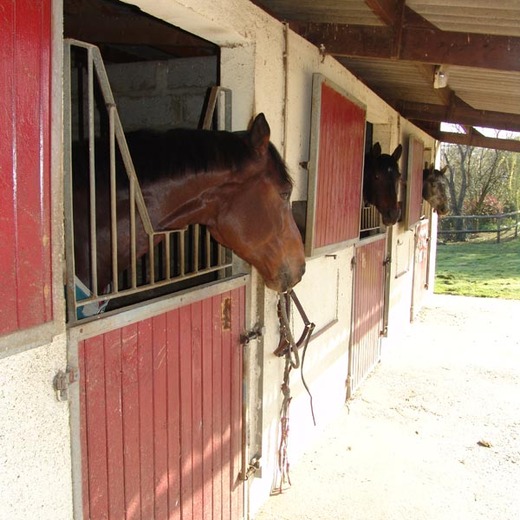 Écuries et École de Dressage le Chêne Day