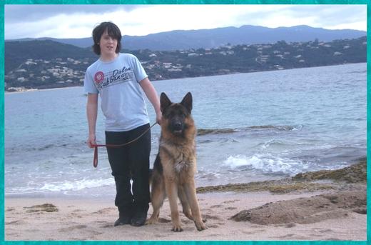 Elevage Berger Allemand en Corse.