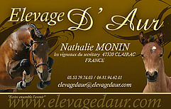 Elevage d'Aur