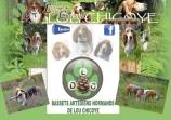 Elevage de Bassets Artesiens Normands de Lou Chicoye
