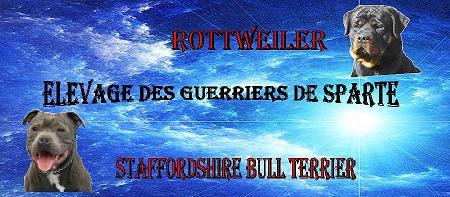 Elevage des Guerriers de Sparte