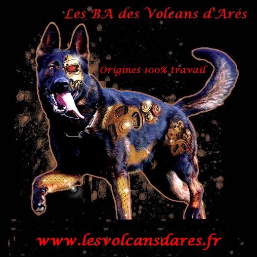 Elevage des Volcans d'Arés