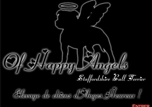 Elevage Of Happy Angels