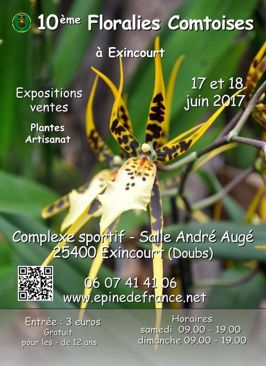 Epine de France