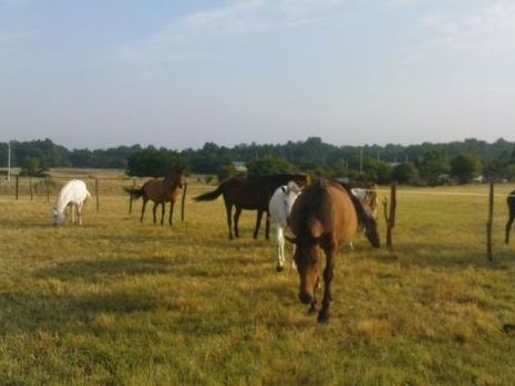 Equi-Libre