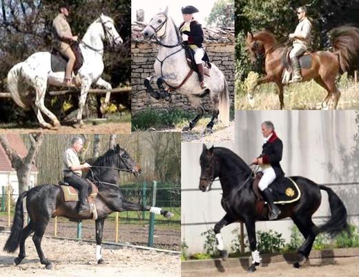 Equitation Française & Patrimoine équestre