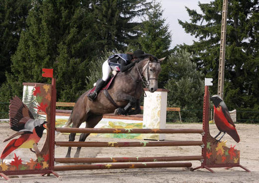 Équitation Reculotte