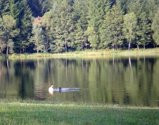 Etang du Prévot