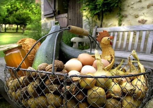 Ferme au Colombier - Ferme de découverte