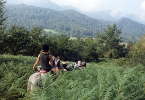 Ferme Équestre la Ramière Sarl