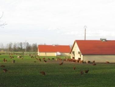 Ferme pédagogique