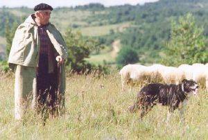 Ferme Seguin / Gaec des Grands Causses