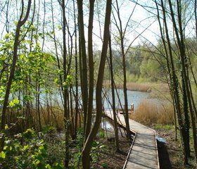 Forêt Régionale de Bondy