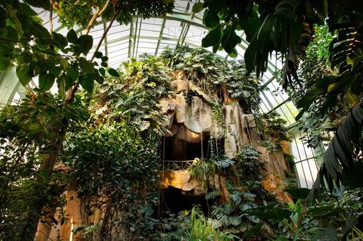Grandes Serres du Jardin des Plantes