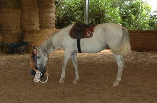 Granite Mountain Stables