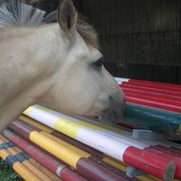 Haras de Malvoisine