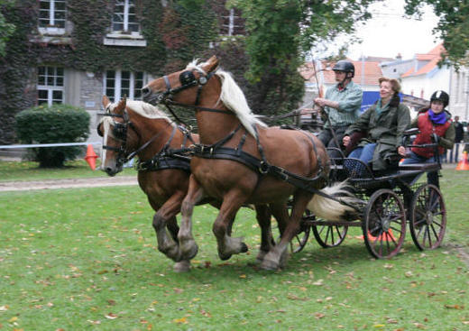 Haras National