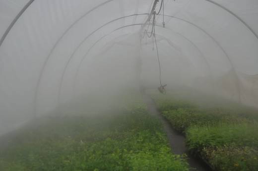 Hortimarine